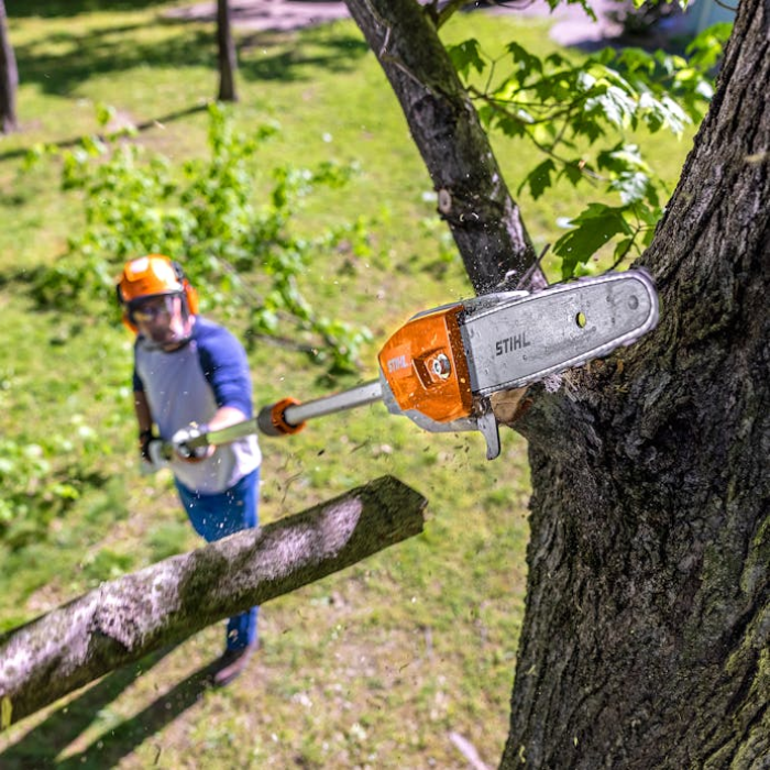 Spécialiste en élagage de branches en hauteur à Laval avec perche télescopique Stihl