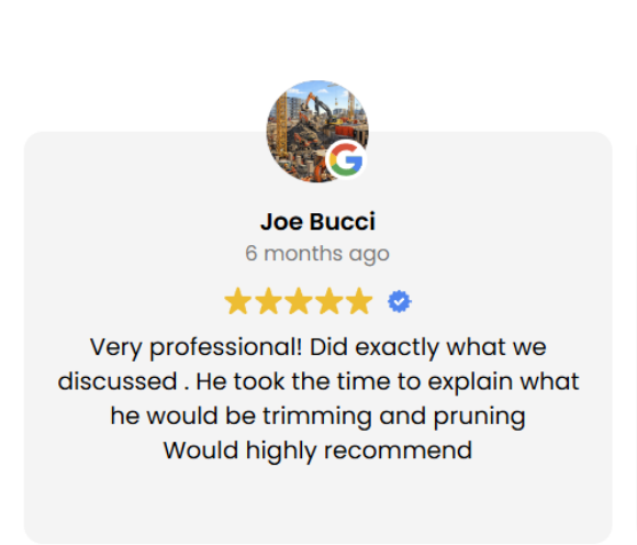 Review Joe