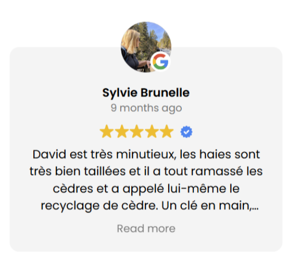 Review Sylvie